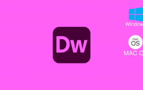 dw-768x430
