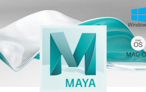 maya-768x431