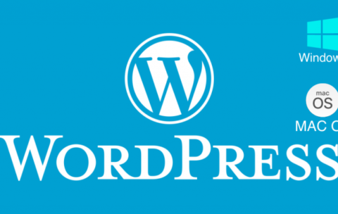 wp-768x431